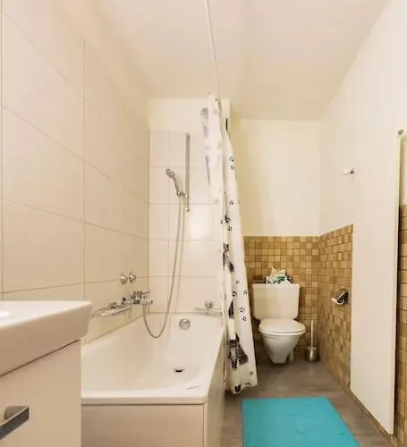 Enjoy And The Super Apartment Zurich